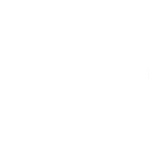 All Holden Commodore Models